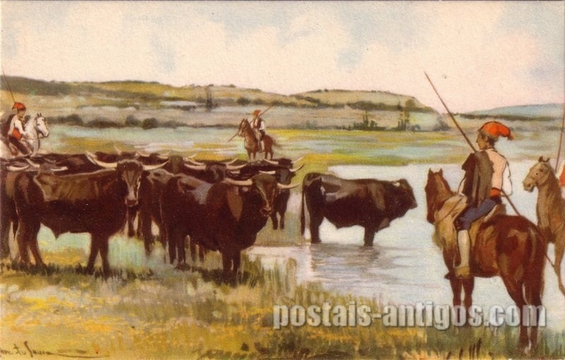 Bilhete postal ilustrado por Alberto Souza: Campinos e manada de toros, Ribatejo | Portugal em postais-antigos.com