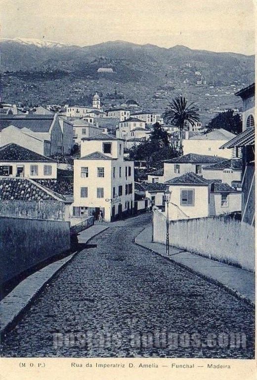 Bilhete postal ilustrado de Funchal, Rua da Imperatriz D. Amelia, Madeira | Portugal em postais antigos 