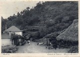 Bilhete postal ilustrado de Funchal, estrada do interior, Madeira | Portugal em postais antigos 