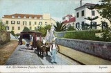 Bilhete postal ilustrado de ​carro de bois de Funchal, Madeira | Portugal em postais antigos 