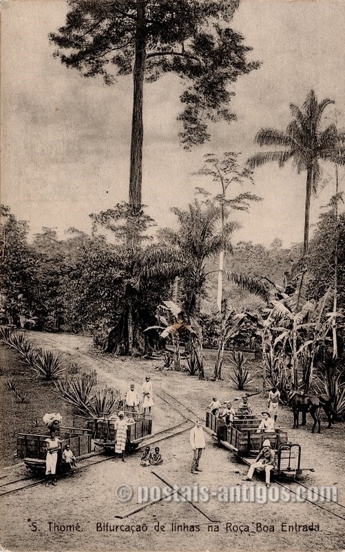 São Tomé. Bifurcação de linhas na Roça Boa Entrada