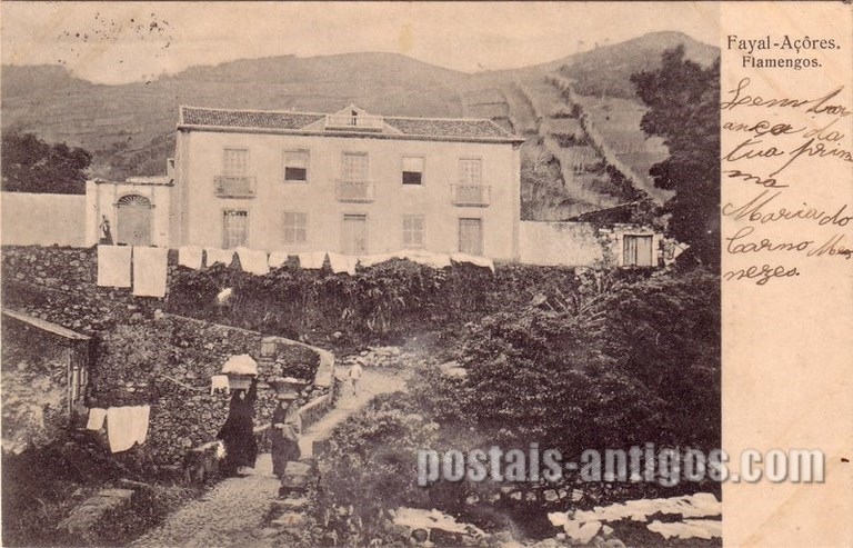 Bilhete postal de Flamengos, Faial, Açores | Portugal em postais antigos 