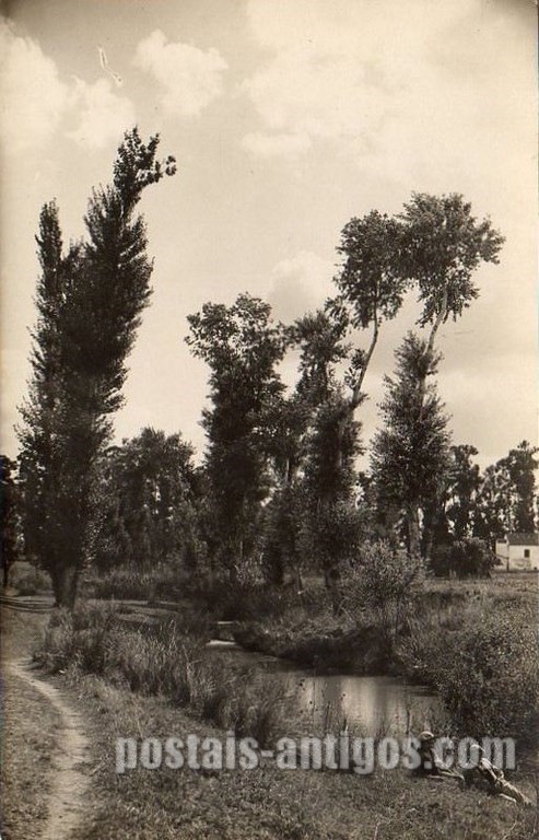 Bilhete postal de Um trecho do Xarrama​, Évora | Portugal em postais antigos