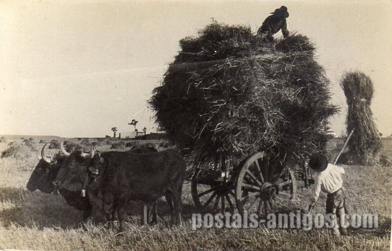 Bilhete postal de costume do Alentejo, Completando a carrada, Évora | Portugal em postais antigos